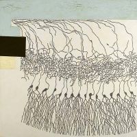 Katherine Sherwood 'One in 100 Billion'
