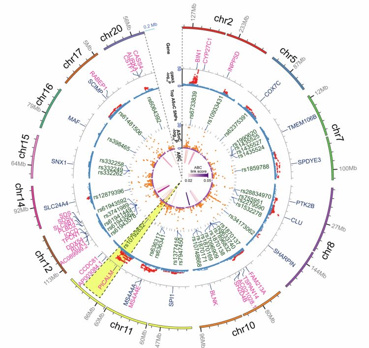 19 loci and 38 GWAS SNPS of LOAD Kozlova et al Nature