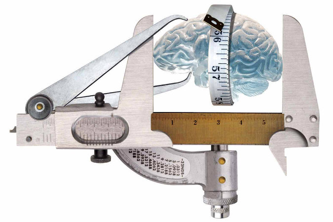 La dimensione del cervello potrebbe predire il rischio di deterioramento cognitivo?