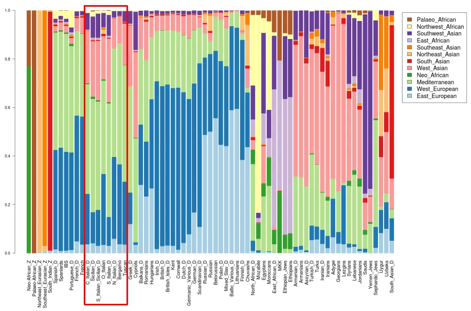 A person genome is made of chunks of genes that come from different ancestries