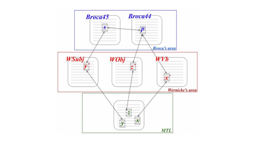 A proposed cortical architecture for syntax in language