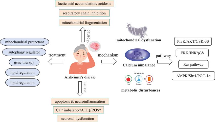 Abstract Liu et al Genes and diseases