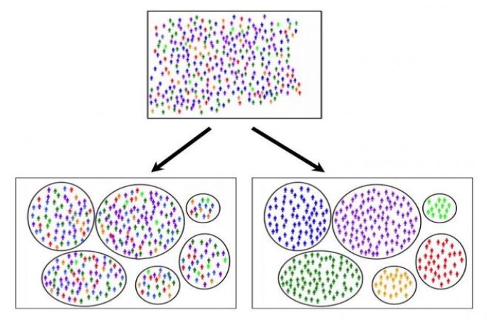 Alzheimer 6 subgroups