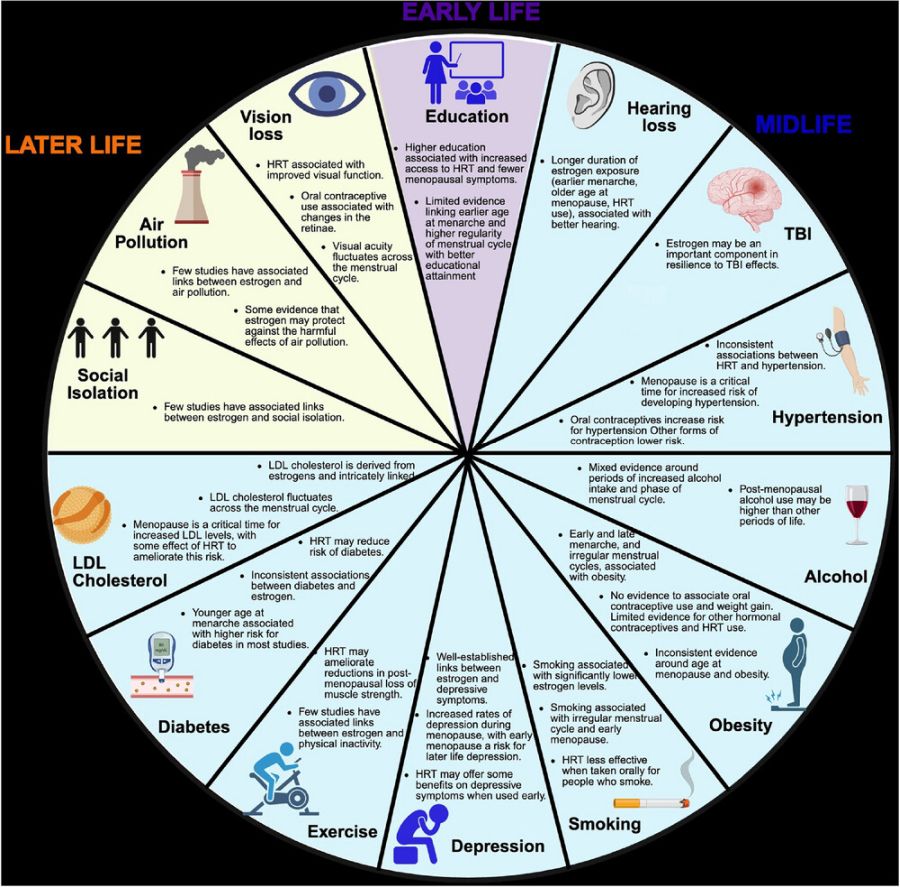 Assoc between estrogen and 14 modifiable risk factors for dementia Gregory et al AlzDem