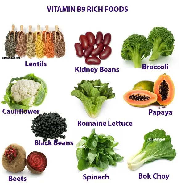 B9 vitamin folic acid rich foods