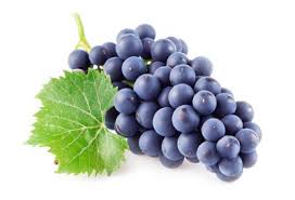 Dieta con molta uva previene il declino cognitivo, migliora la memoria ...