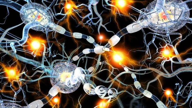 Declino cognitivo nell'Alzheimer legato a carenza della 'proteina della memoria'