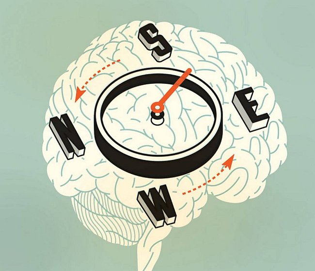 Il GPS del cervello non si ferma mai: nemmeno nel sonno profondo