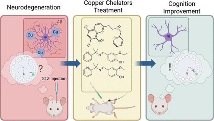 Camargo et al ACSChemicalNeurosci