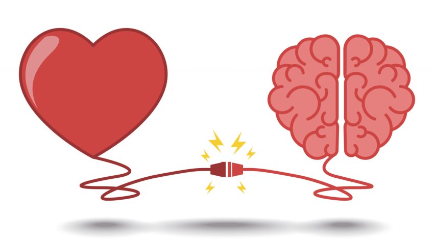 Connection heart brain