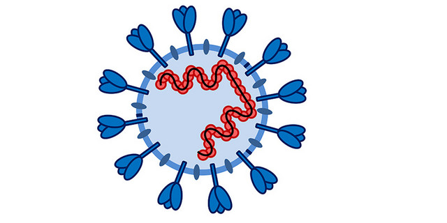 Coronavirus MH