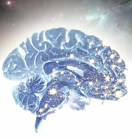 Il black-out nel cervello: una nuova prospettiva sulla complessità dell'Alzheimer