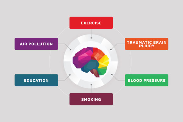 Environmental risk factors for AD