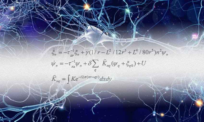 Equations with a realistic cartoon of neurons