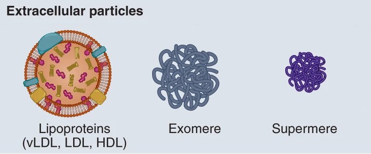 Extracellular particles lipoproteins exomere supermere