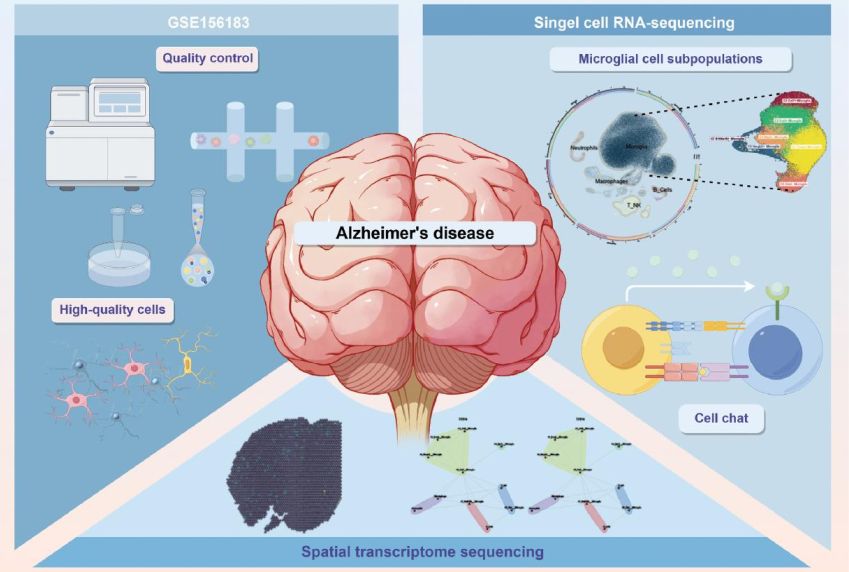 Graphical abstract Lei Sun et al Bio Integr
