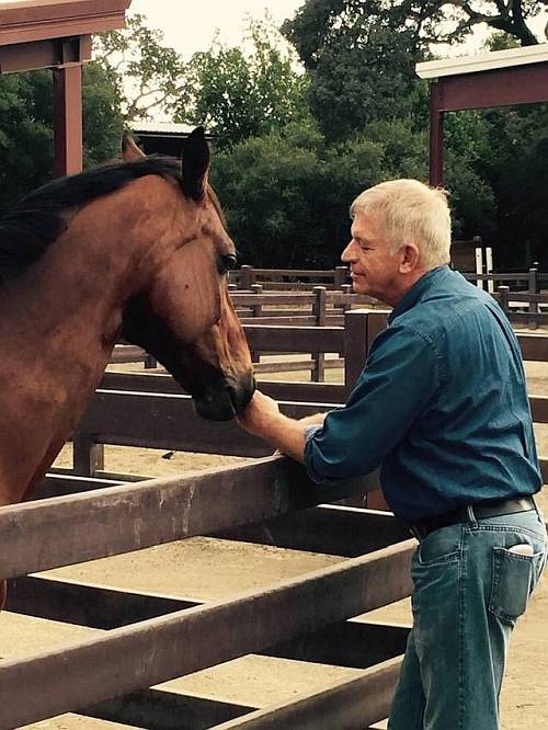 Sfruttare il potere di guarigione dei cavalli per la demenza