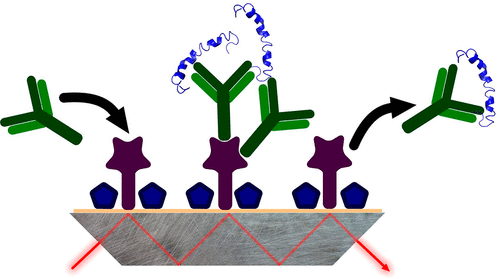 Immuno Infrared Sensor