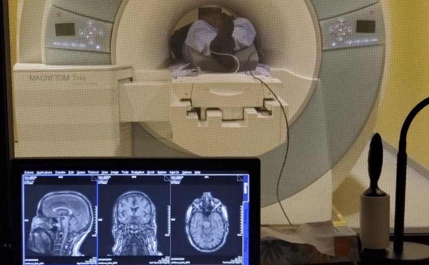 MIT human gamma MRI rt