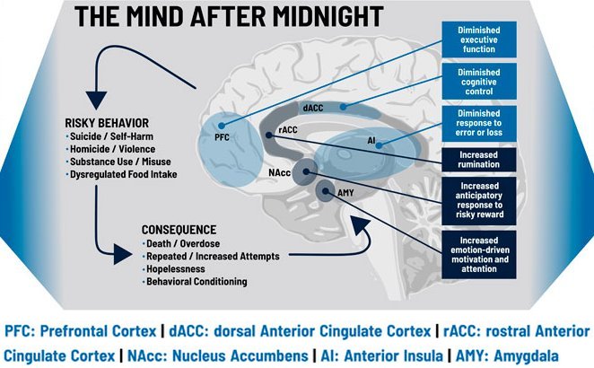 Mind after midnight