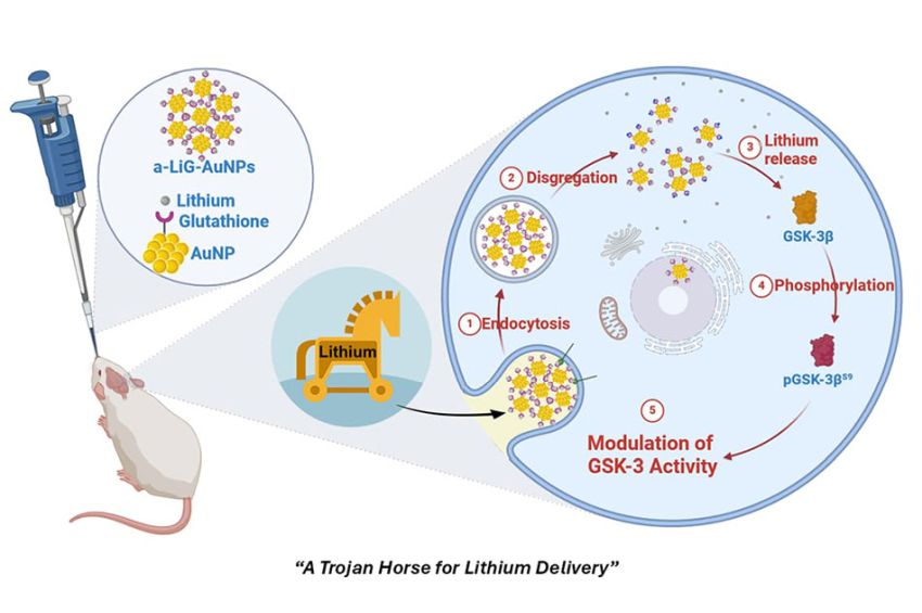 Nasal spray Buonerba et al Cattolica AdvMaterials