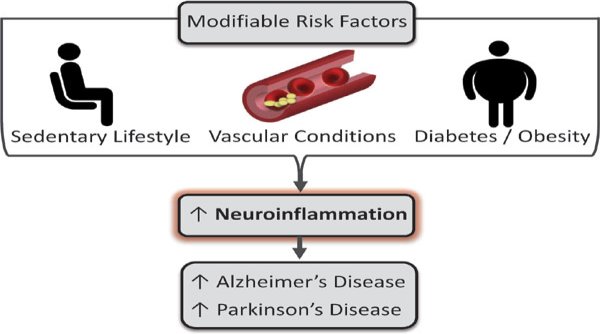 I fattori che inducono la neuroinfiammazione dell'AD e del Parkinson