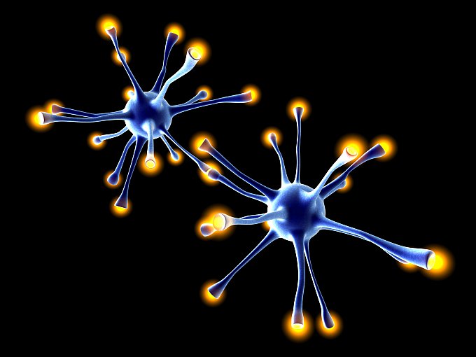 I neuroni tentano subito di resistere alle malattie del cervello