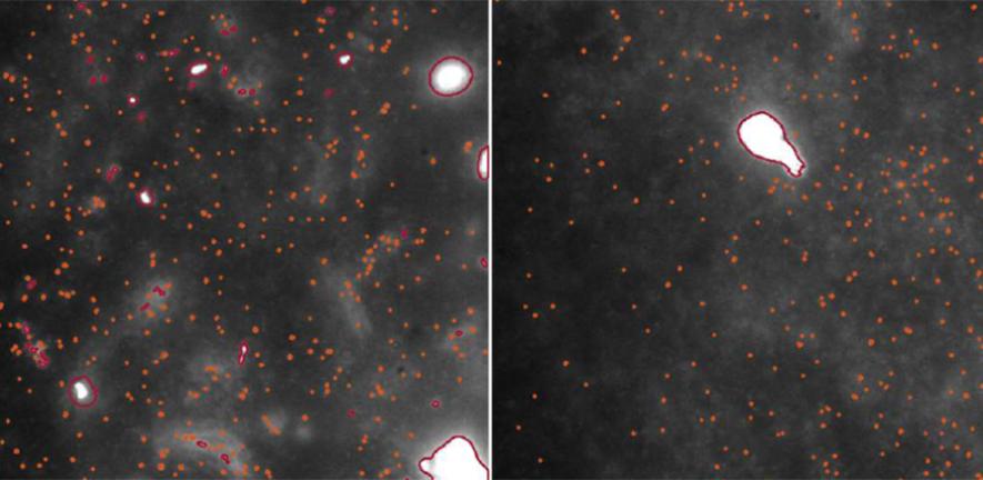 Parkinson origin Andrews et al NatBiomEng