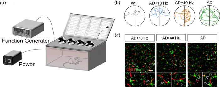 Photobiomodulation for Alzheimer mouse