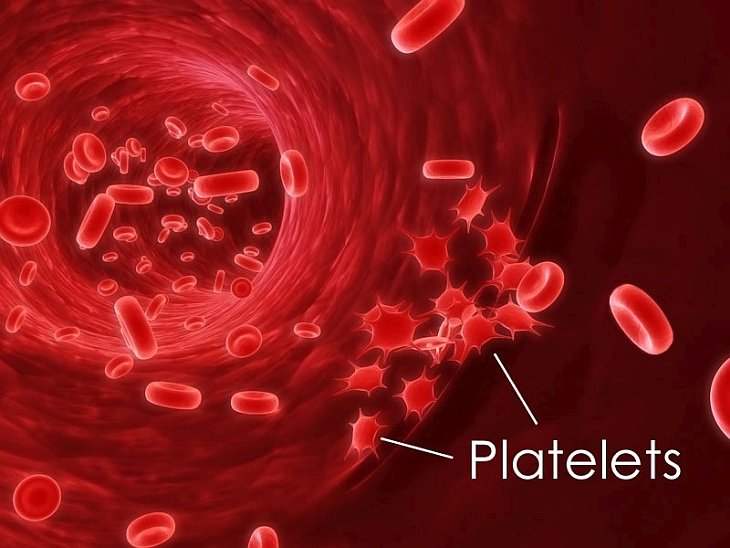 PlateletsRED