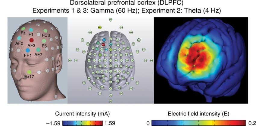 Prefrontal cortex transcranial stimulation