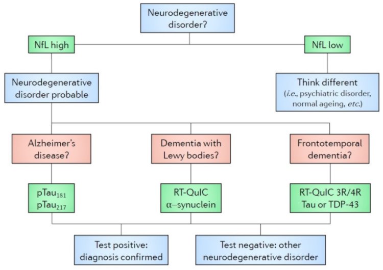 Proposed algorithm for diagnostics and prognostic assessment of neurodegenerative dementias