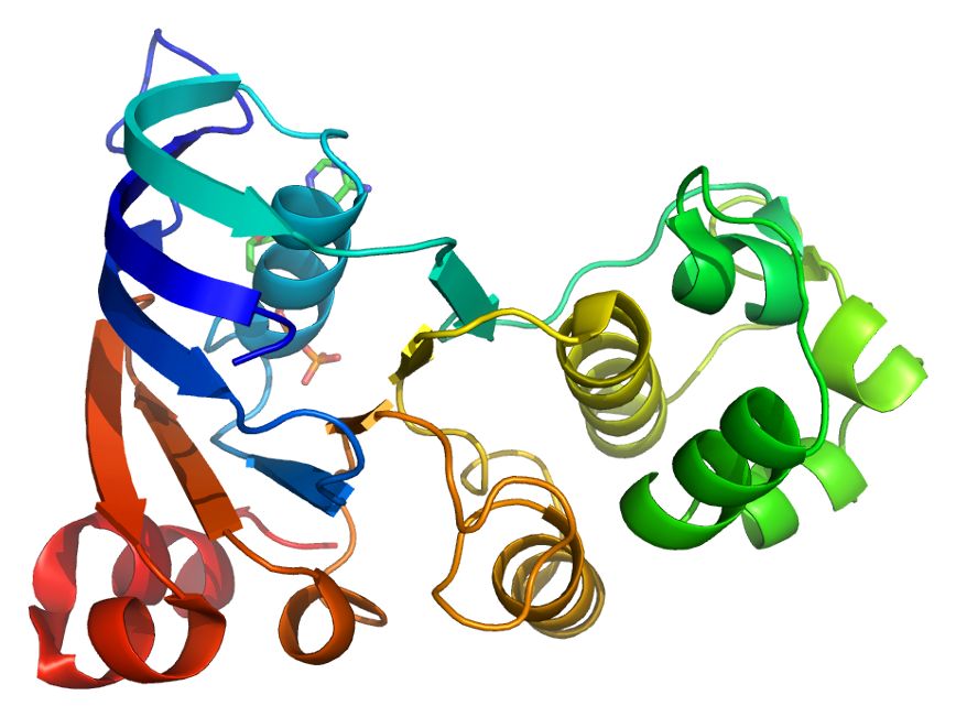 Protein ABCC1 PDB 2cbz