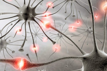Molecole coinvolte nell'Alzheimer provocano un indebolimento delle connessioni tra neuroni