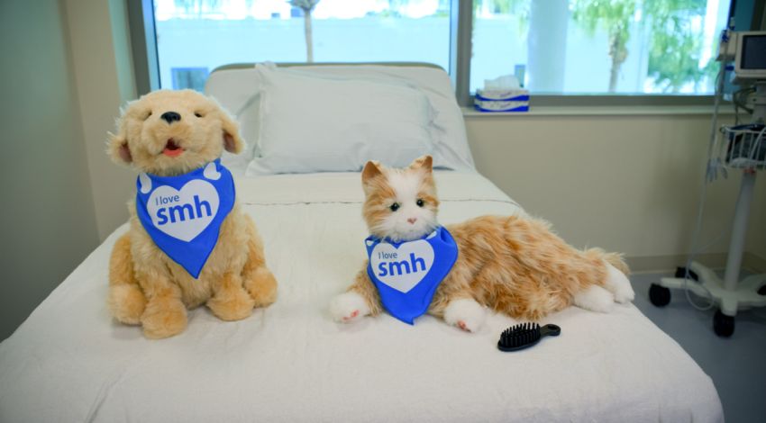 SMH robotic cat and dog