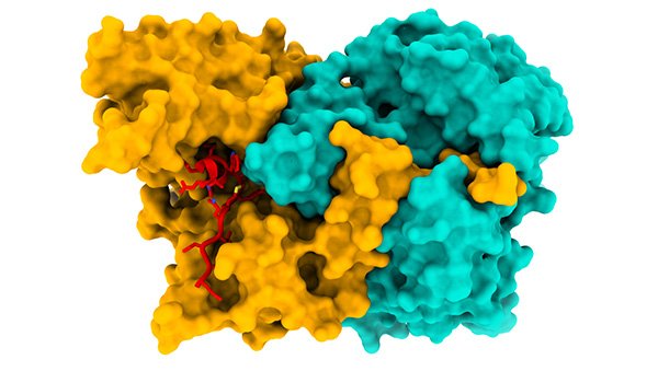 Structure of ACAD9 ECSIT CTER complex by ESRF M Soler López