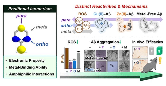 Study Na et al 2026 J Am Chem Soc