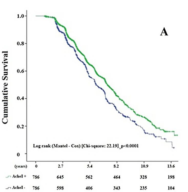 Survival of all patients with dementia treated or not treated with AChEIs