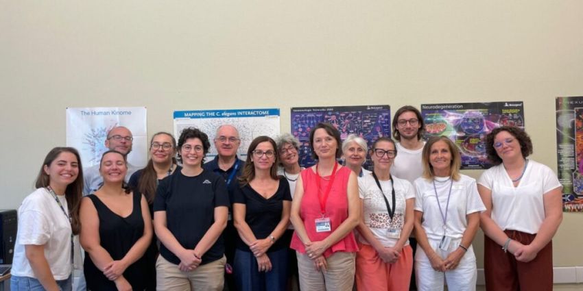 Team studio Terrabuio et al NatComm