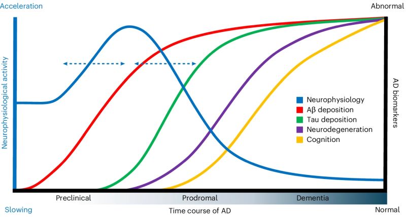 Time course of pathological changes along the AD continuum 
