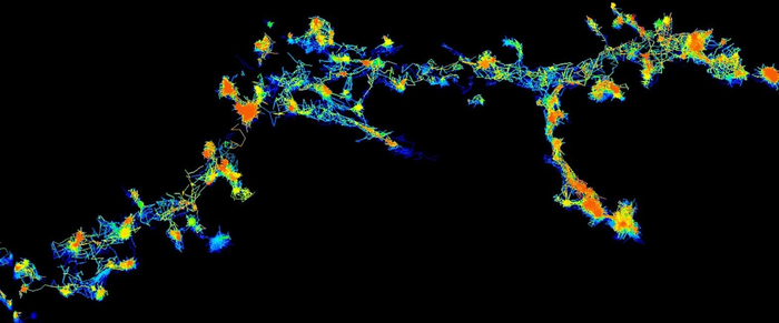 Trajectory map of individual Fyn molecules in hippocampal neurons by QBI