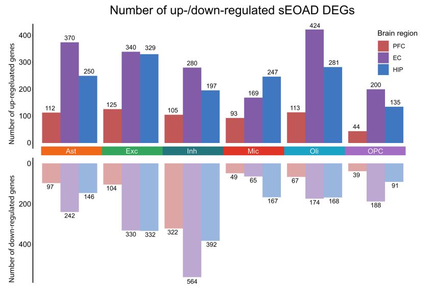 Up down regulated genes in AD by Liu et al sciadv
