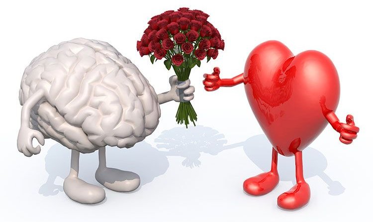 brain and heart