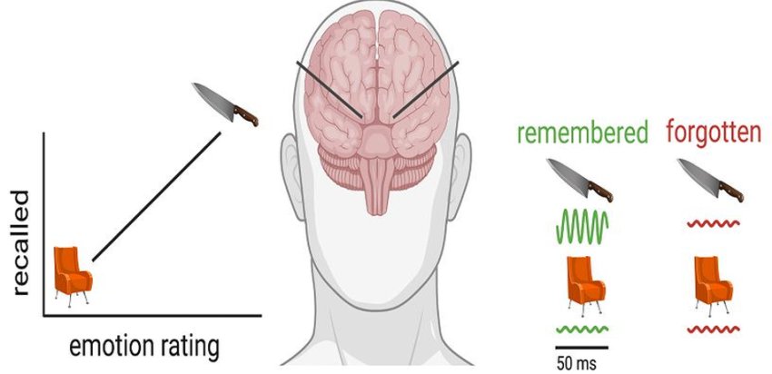 brain oscillations while encoding emotional words