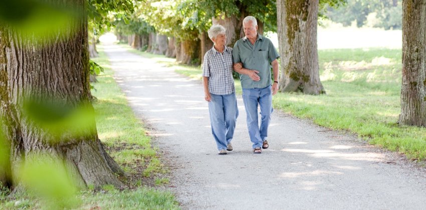 couple walking in a green area