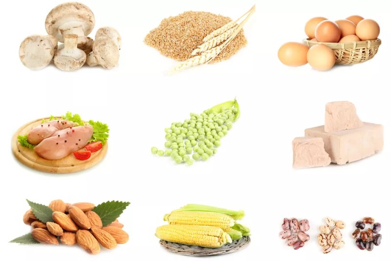 dietary sources of niacin vitamin b3