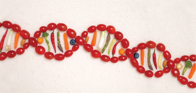 dna with fruits