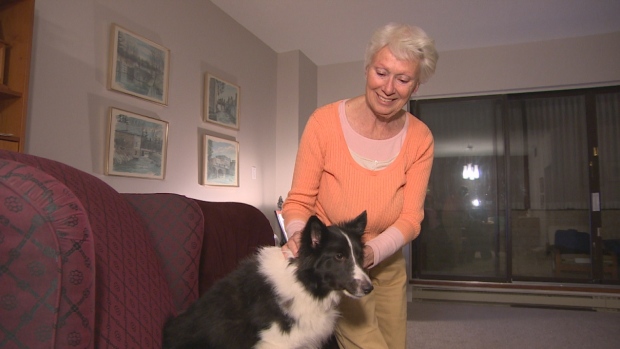 Anziana con Alzheimer riceve ultimatum: sbarazzarsi del cane-guida o andarsene