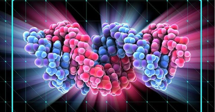 double stranded RNA