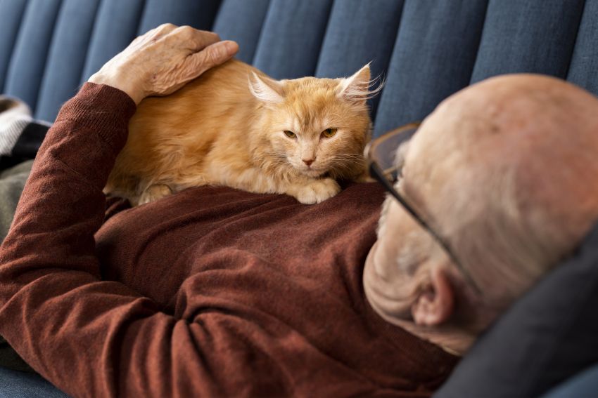 elderly person with pet cat 